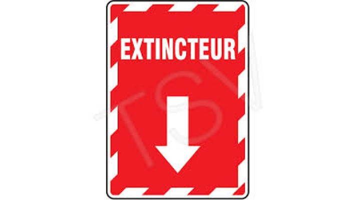 Enseigne avec flèche «Extincteur», 10" x 7", Vinyle, Français avec pictogramme Chacun